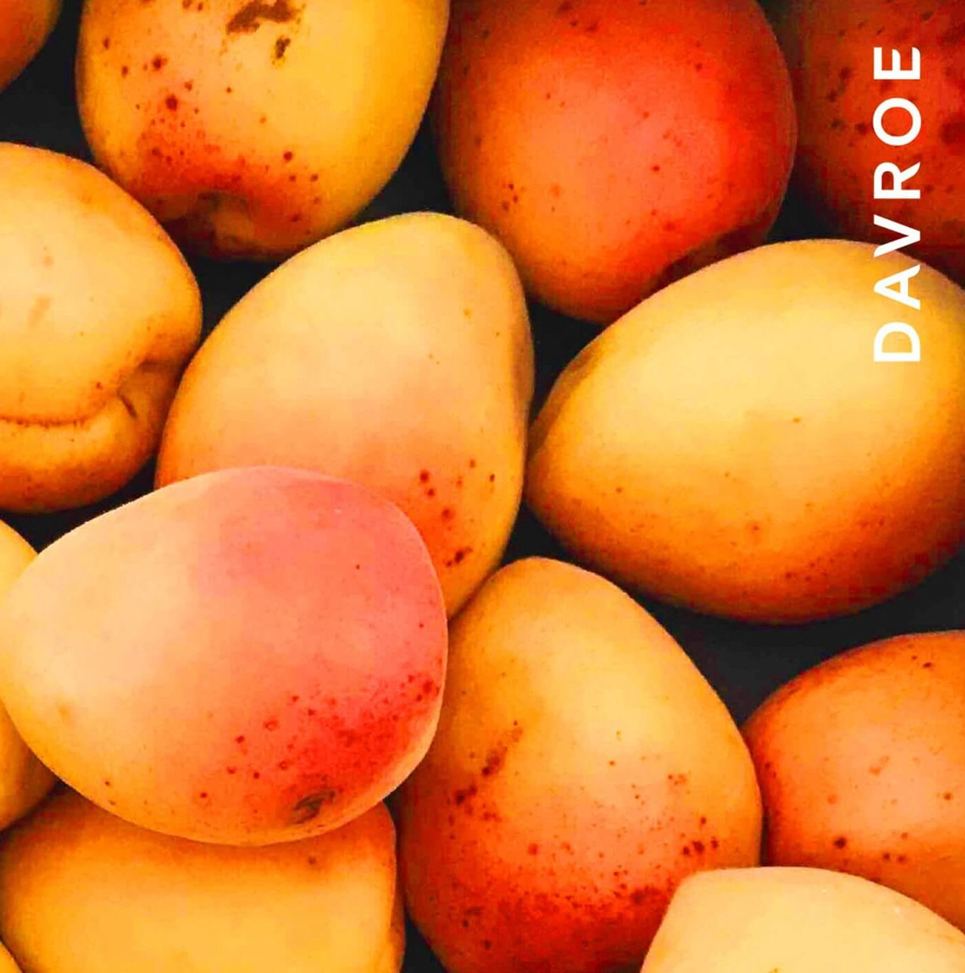 Davroe Luxe Leave-In Masque