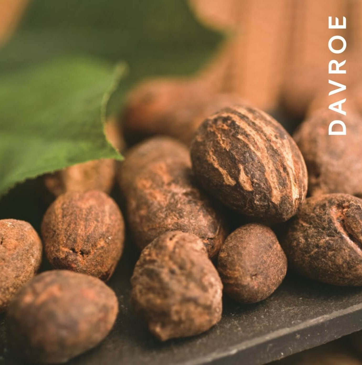 Davroe Luxe Leave-In Masque