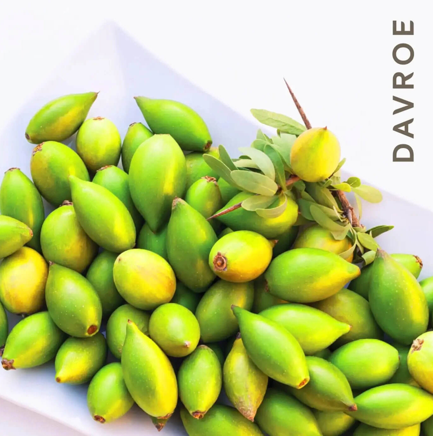 Davroe Argan Oil Instant Treatment