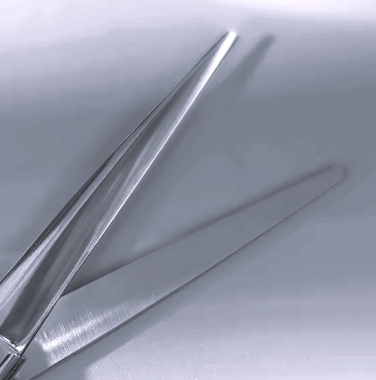 Titan Precision 5.5-inch Crafted Japanese Steel Hair Scissors