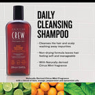 American Crew Daily Cleansing Shampoo