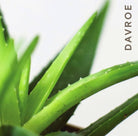 Davroe Luxe Leave-In Masque